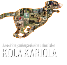 http://www.asociatiakolakariola.com/doneaza.html